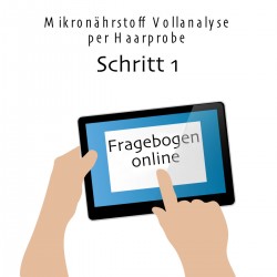 Fragebogen Mikronährstoffanalyse