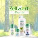 Allergie Kur Set Supplements