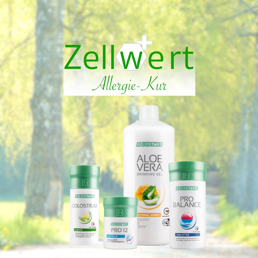 Allergie Kur Set Supplements