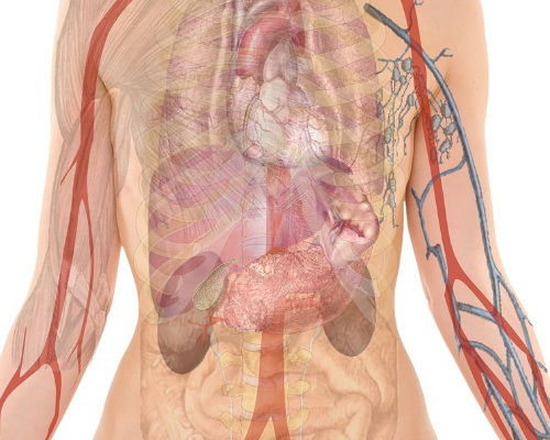 Free HTML5 Bootstrap Template by FreeHTML5.co